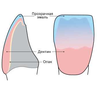 2 layers application